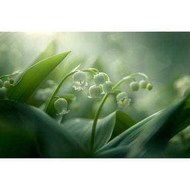 Tableau Thème de Fleur